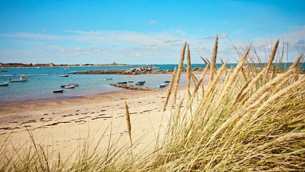 A beach with boats, a sandy shore, and tall grasses in the foreground. - Light, Bright Apartment Tucked Away by Bordeaux Harbour (Vale)