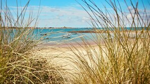 A beach with boats, clear sky, and grass in the foreground.