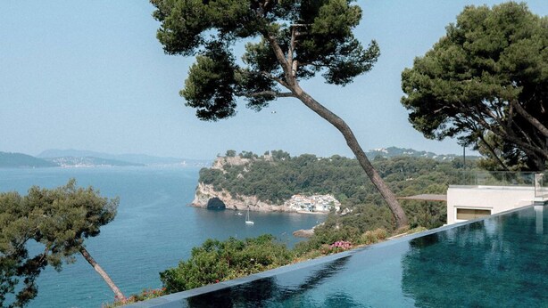 Vista despejada de una piscina infinita con un árbol en primer plano y un paisaje costero al fondo.
