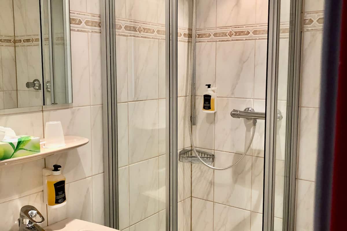 shower, free toiletries, hair dryer, towels