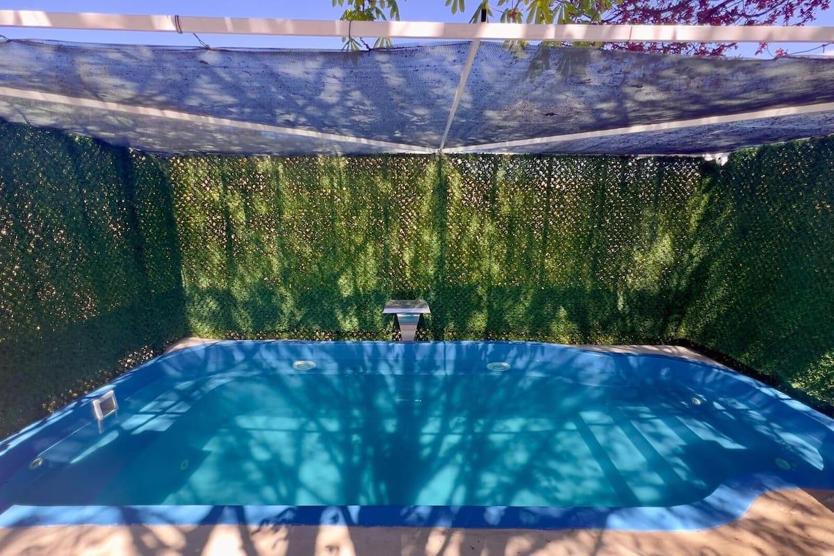 A swimming pool with a blue border, surrounded by a hedge, under a shaded area.