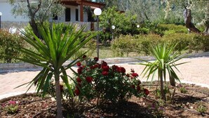 Un jardí amb roses vermelles, palmeres i un edifici amb teulada vermella al fons.