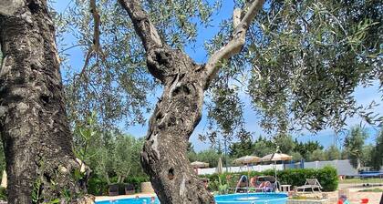 Puglia in Agriturismo I Tesori del Sud, Trilocale with private garden, barbecue and sunbeds
