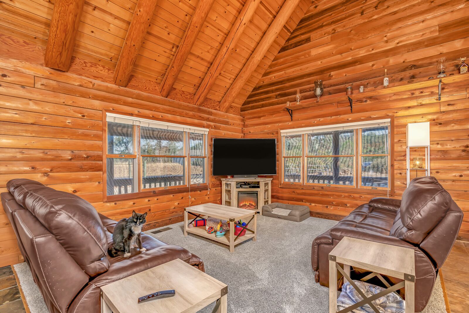 Lake Cabin with cuddling cats