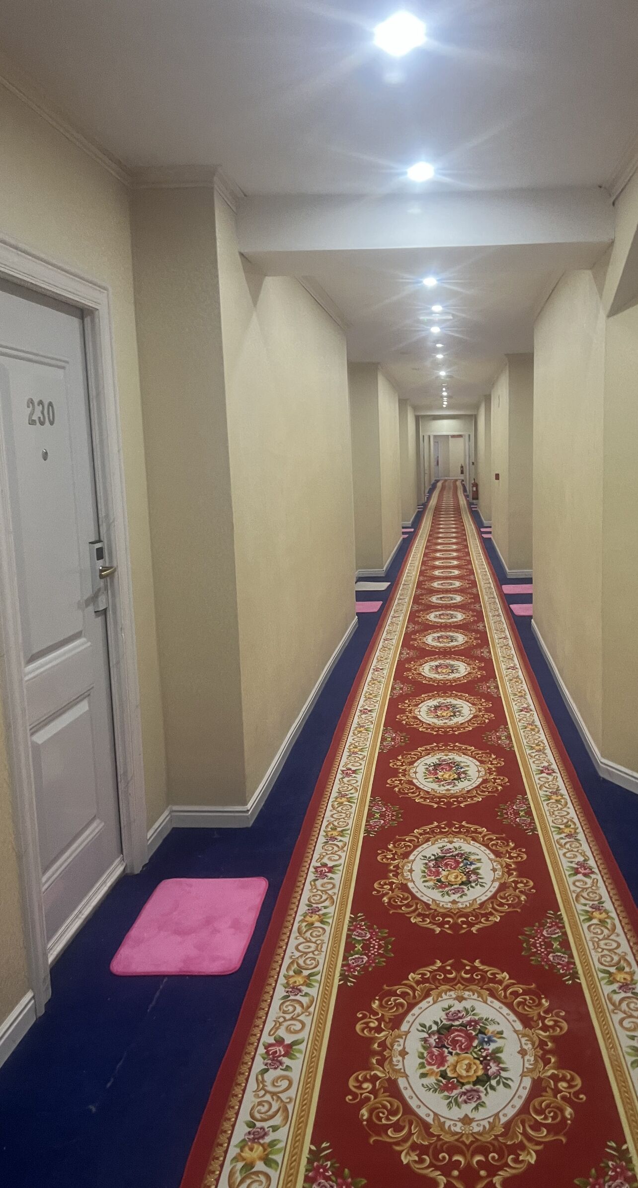 Foto - Hotel Aviación