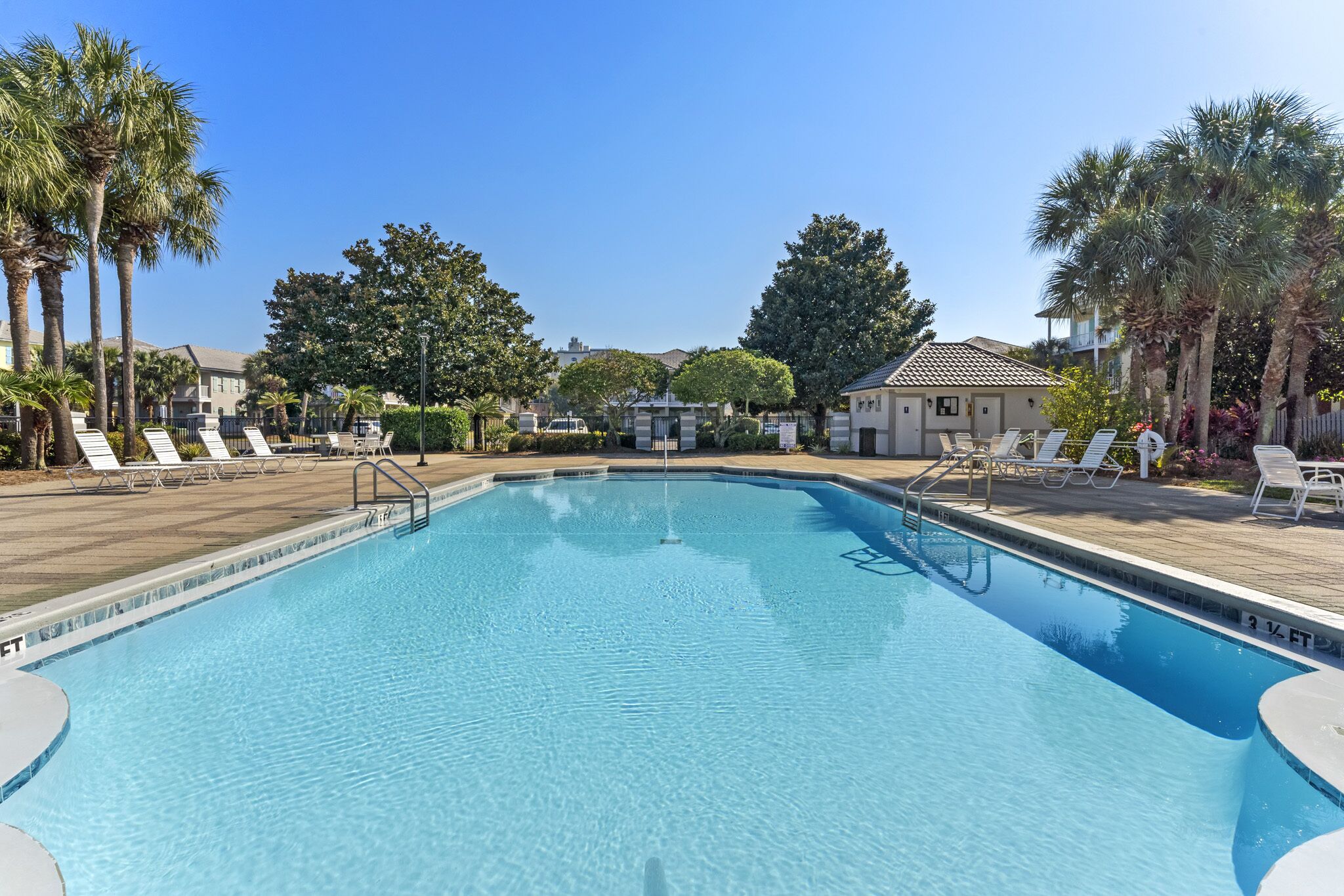 Une piscine aux eaux cristallines, dotée de chaises longues et bordée de palmiers.