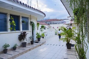 Un espacio exterior cubierto con plantas en macetas, suelo de baldosas y fachada de edificio curva.