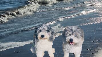 In StrandnĂ€he, LiegestĂŒhle, StrandtĂŒcher