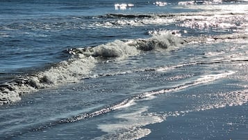Plage à proximité, chaises longues, serviettes de plage