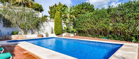 Une piscine rectangulaire bordée de carreaux, entourée de diverses plantes et d’un mur blanc.