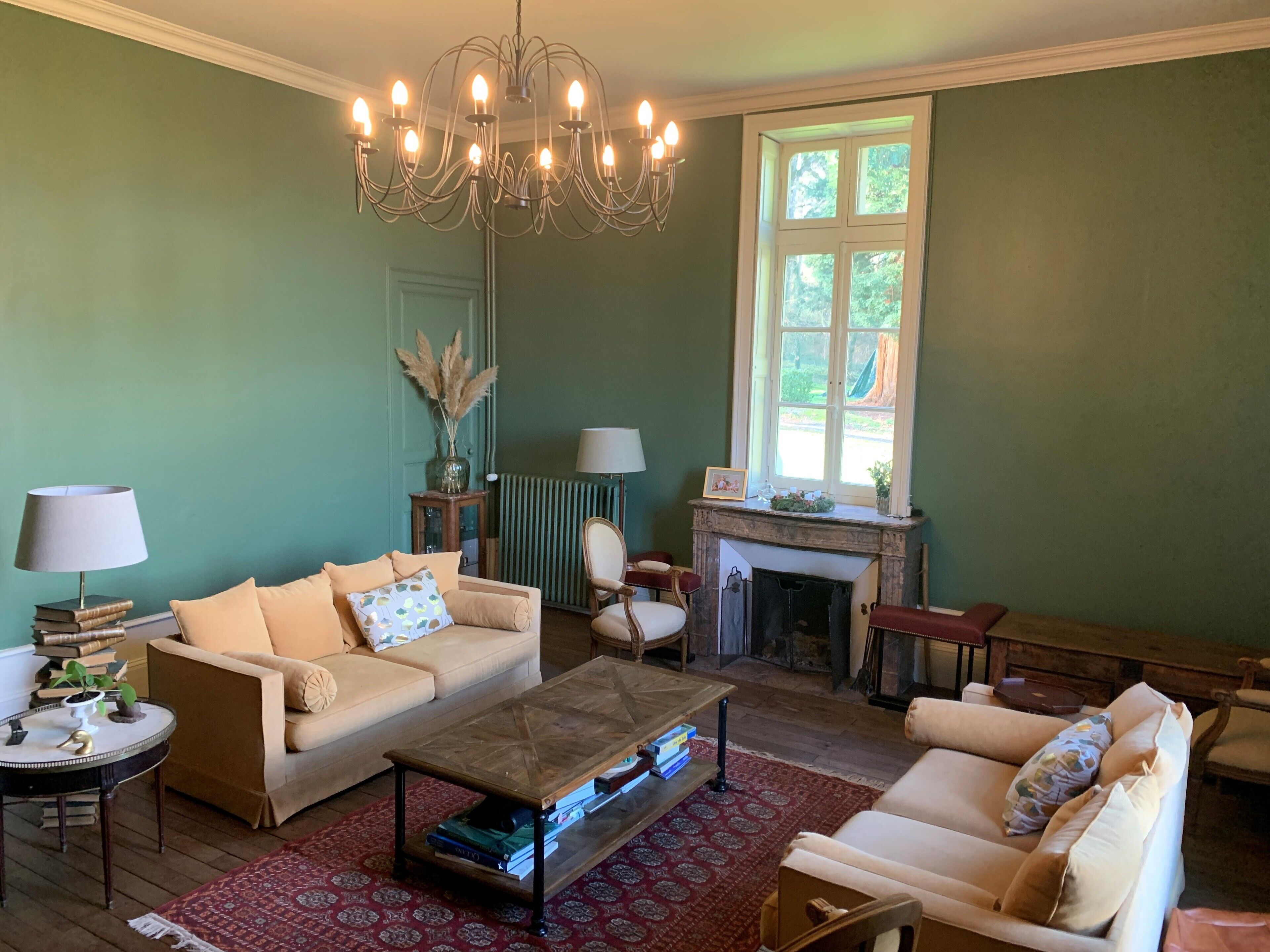 TV, fireplace, books, printers