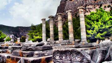 Ruinas antiguas con columnas y tallas en piedra.
