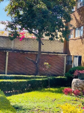 Property grounds - +MS +Suite óptima +Internet (Santiago de Querétaro)