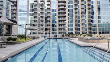 Outdoor pool, sun loungers