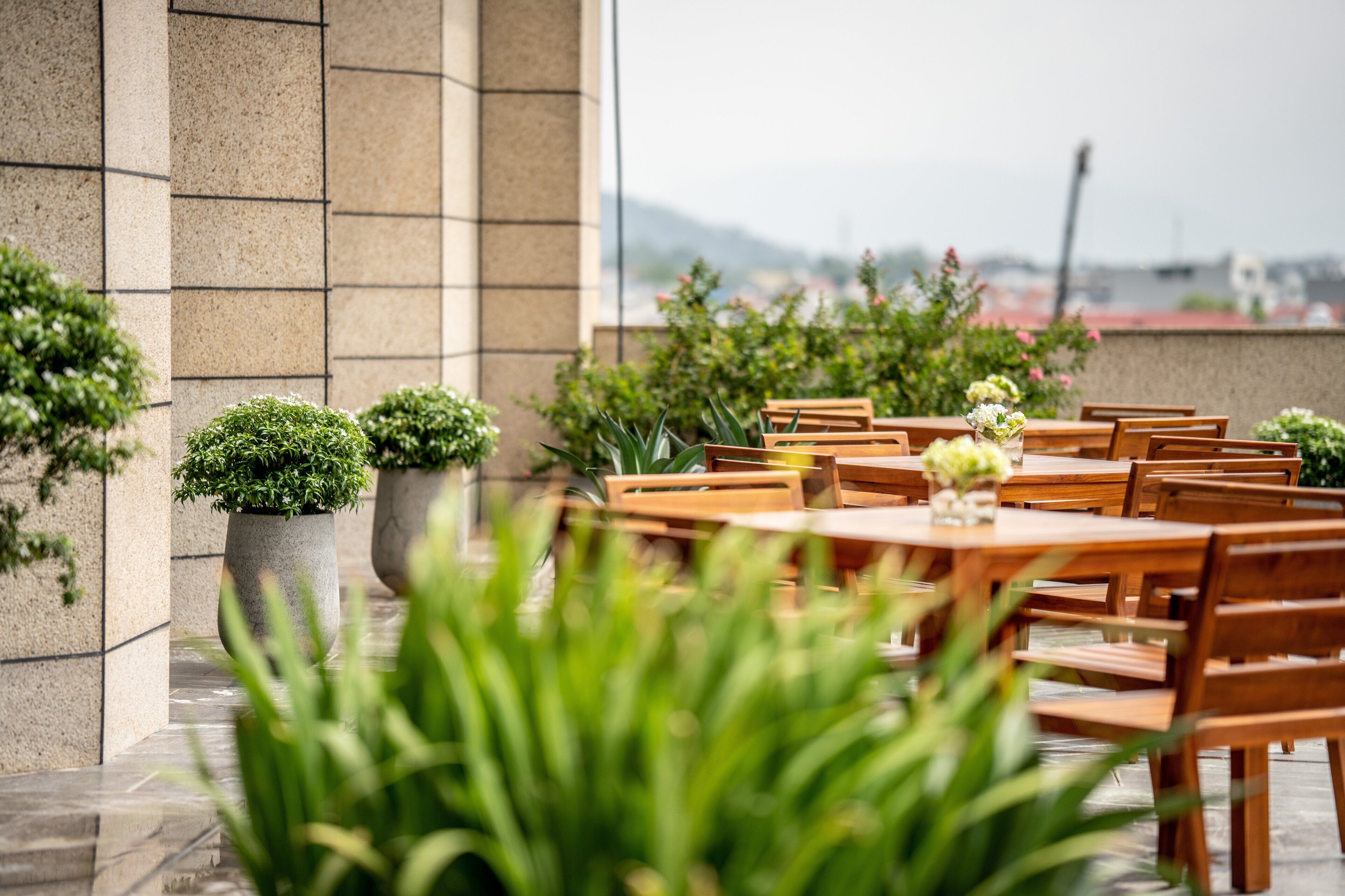Une terrasse extérieure avec des tables et des chaises en bois, des plantes en pot et une vue sur le paysage urbain.