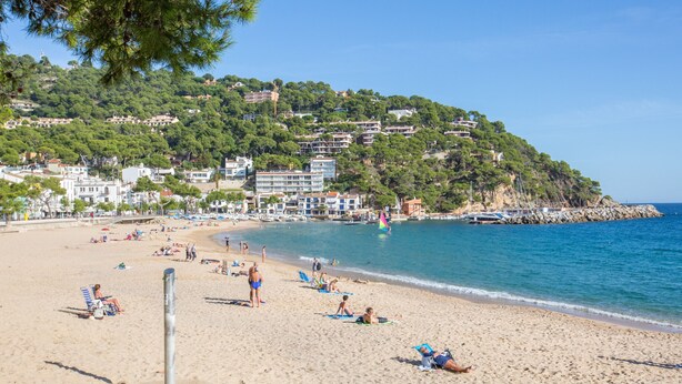 A beach with people sunbathing and swimming, a rocky shoreline, and buildings in the background. - 1BENET EST - House divided into 3 totally independent apartments with shared pool just 1 km from the beach of Calella de Palafrugell (Calella de Palafrugell)