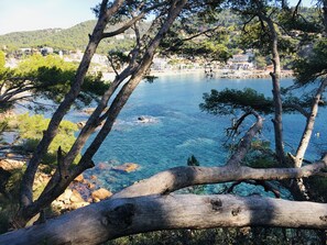 Vue depuis l’hébergement