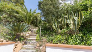 A garden with a stone staircase leading up to a white building. - 1DIAZ 01 - Lovely and cozy villa with private pool and garden situated in a quiet residential area only 1km from the beautiful Aigua Xelida beach (Tamariu)