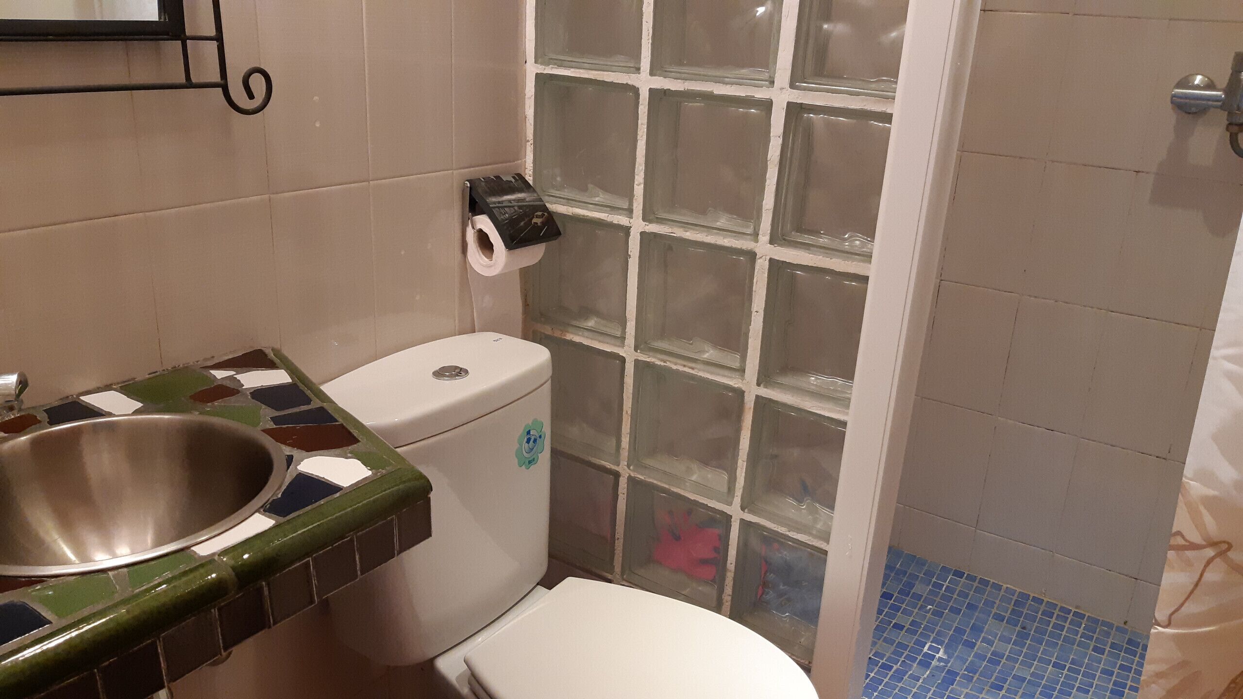 A bathroom with a toilet, a sink, and a shower area.