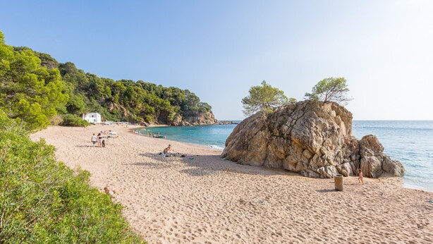 Une plage de sable avec un promontoire rocheux, une eau d’un bleu limpide et une végétation luxuriante.
