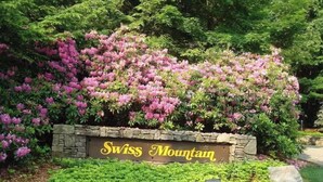 Skilt med 'Swiss Mountain' omgivet af frodigt grønt og lyserøde blomster.