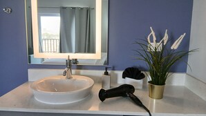 A bathroom with a sink, a mirror, a hairdryer, and a potted plant.