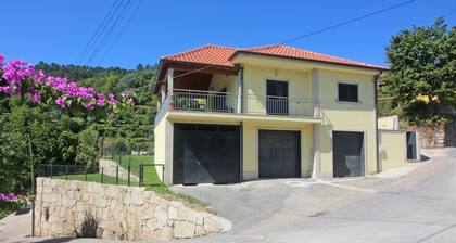 Modern house with pool in Gerês