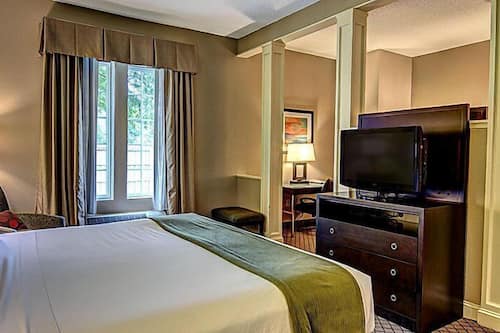 Deluxe Studio Suite | Individually decorated, individually furnished, desk, iron/ironing board