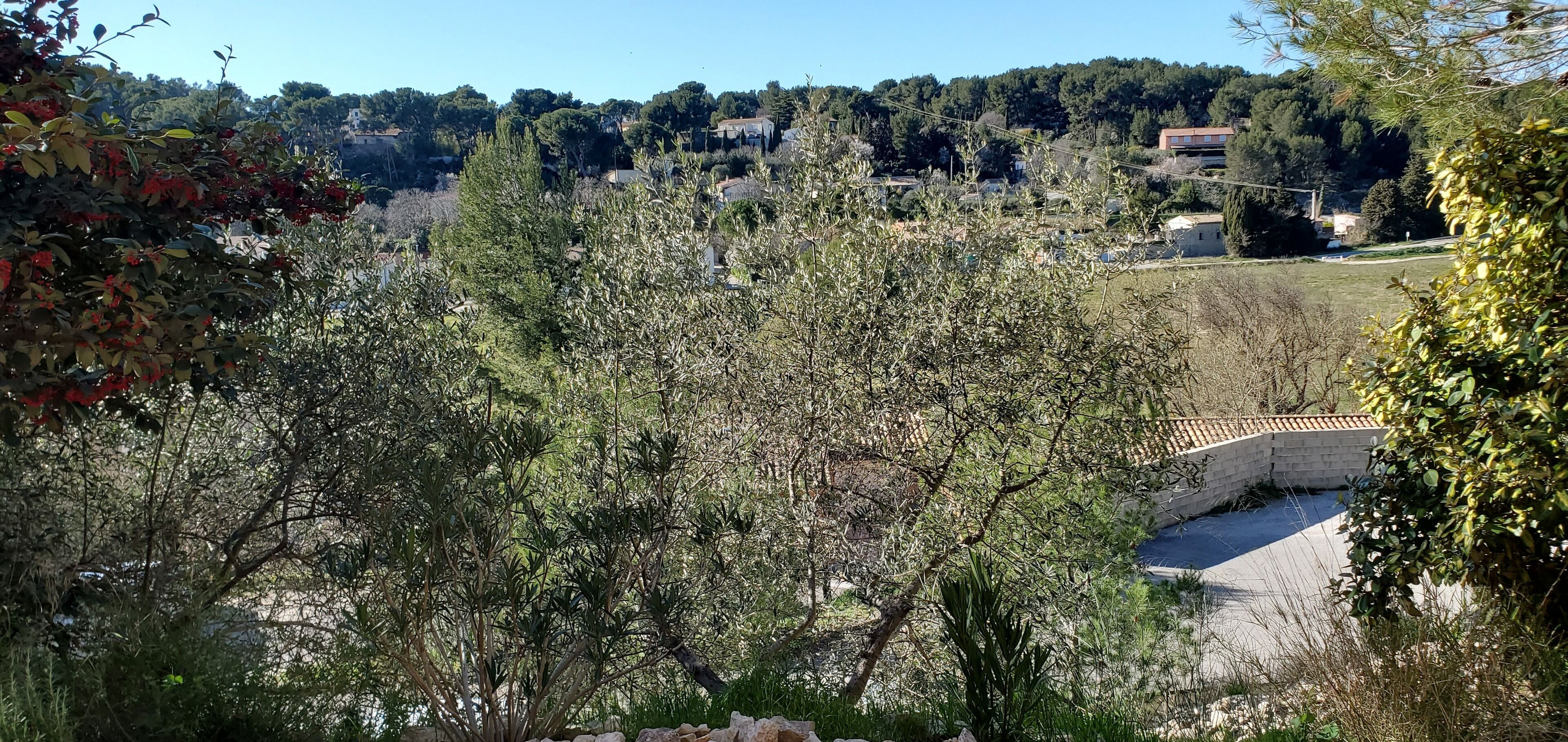 A view of a rural landscape with trees, a stone bridge, and buildings in the background.