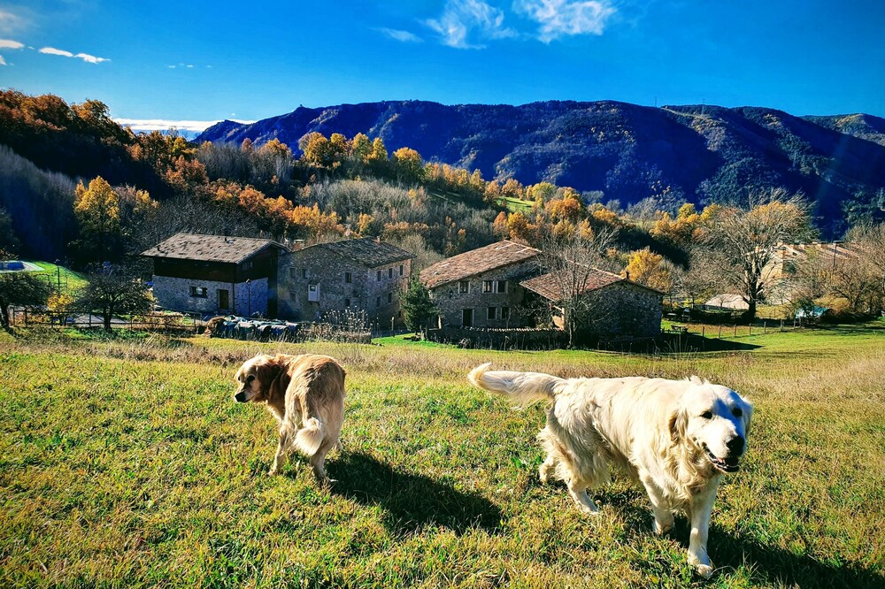 Turismo Rural Casa del Batlle