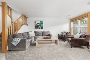 Smart TV, fireplace, books