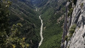 منوع