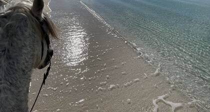 Finca Libertad Son Baulo