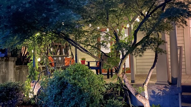 A well-maintained garden with a wooden bench, a small table, and a potted plant. - Welcome to Bungalow 437! Close to Downtown & OSU!  (Corvallis)