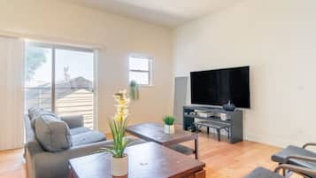 TV, computer monitors