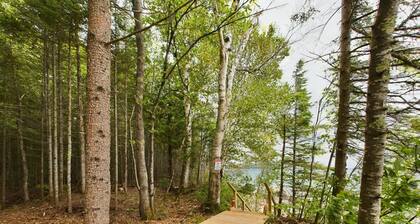 Rustic Cabin sitting on the Edge of Lake Superior with an Outdoor Sauna