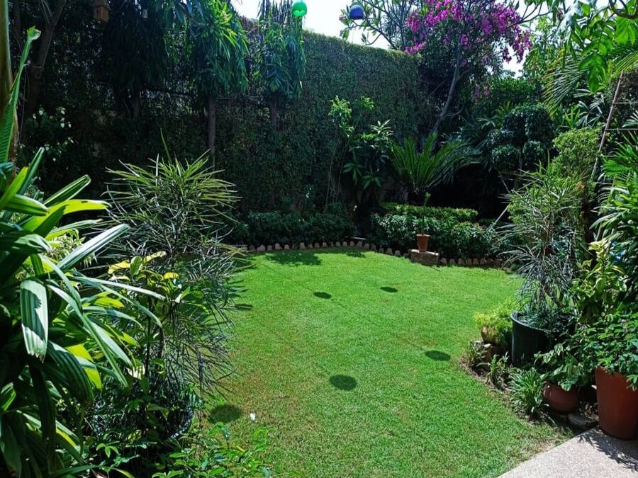 A well-maintained garden with a neatly trimmed lawn, various plants, and a stone pathway.