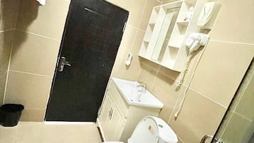 Shower, hair dryer, bidet, towels