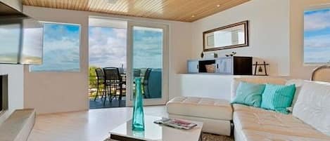 Smart TV, fireplace, video games, DVD player