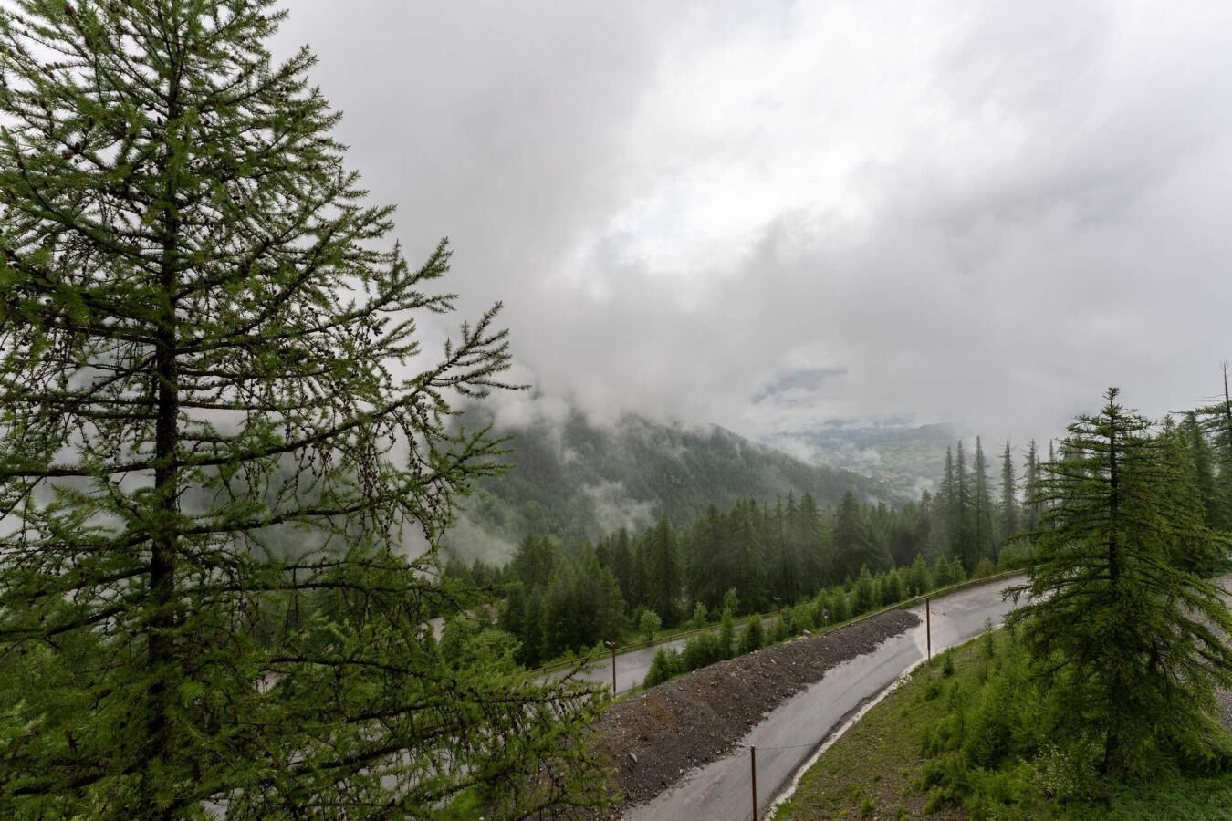 A winding road through a forested area with a mountain in the background.