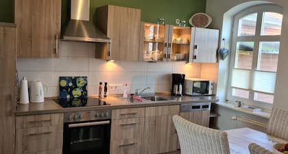 Vacation home Hemenswarft directly on the North Sea with sea view - Apartment Langeness