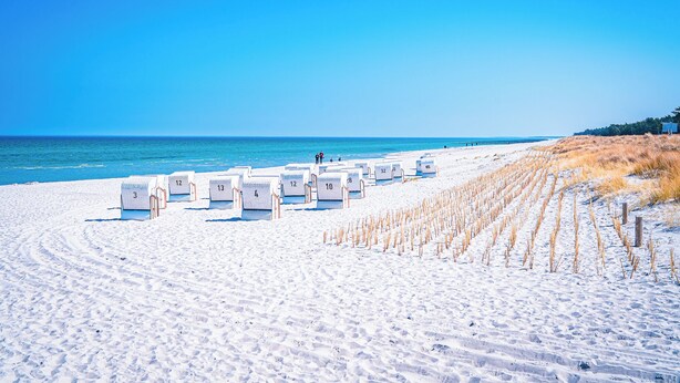 A beach with rows of numbered beach chairs and a clear view of the ocean. - Our attractive vacation apartment for 2 people with excellent facilities. (Prerow)