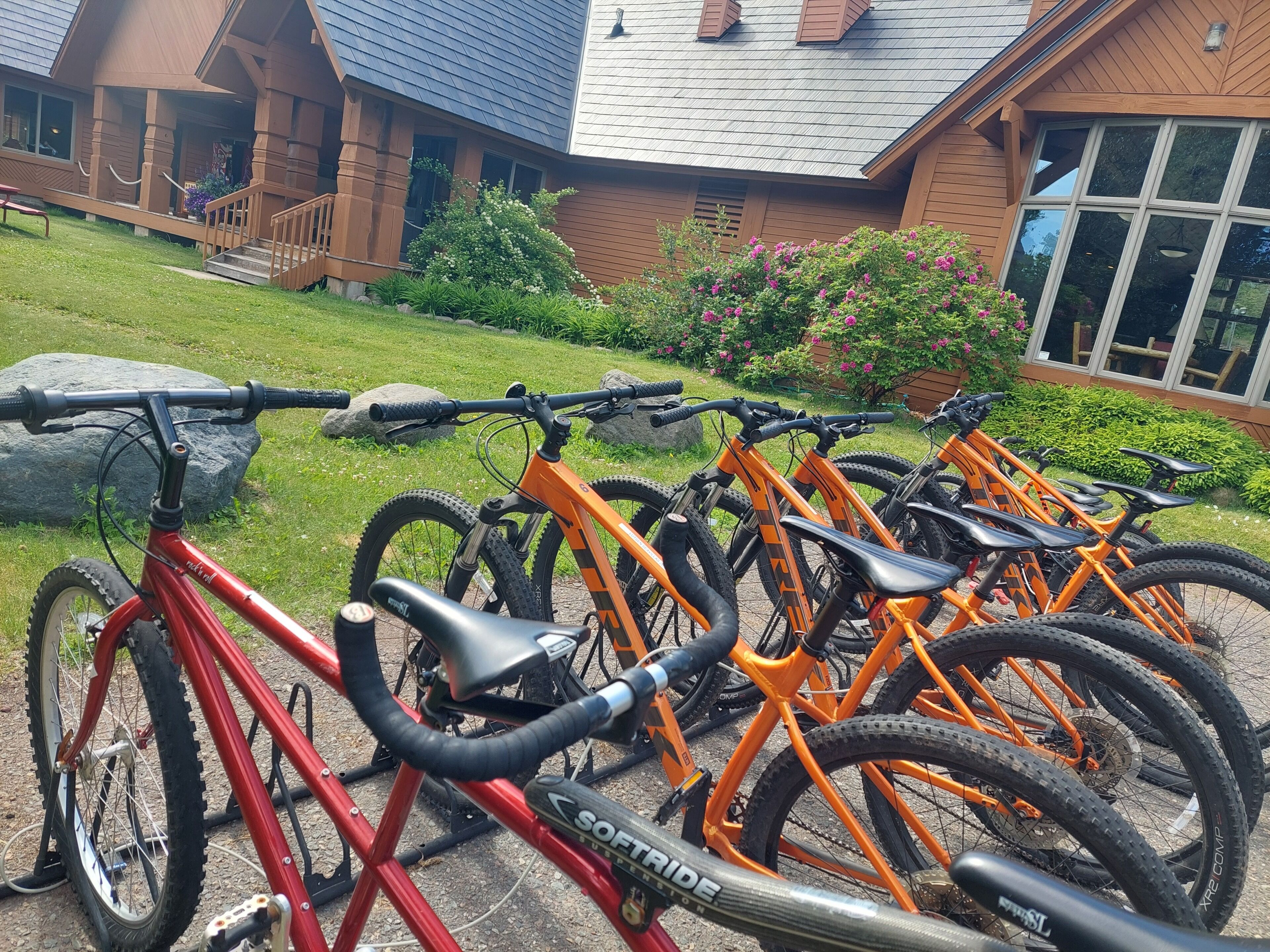 A row of bicycles parked outside a building with a stone pathway and a grassy area.
