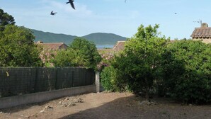 Paesaggio rurale con un sentiero sterrato, cespugli verdi e uno specchio d'acqua in lontananza.