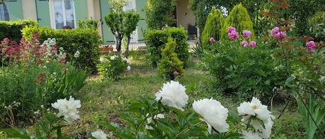 Details aan de buitenkant