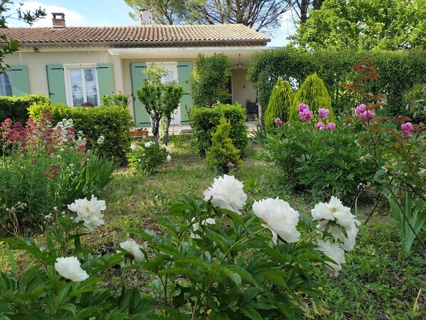 تفاصيل الفندق من الخارج