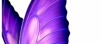 Apartment unavailable. DELETE ADVERTISEMENT