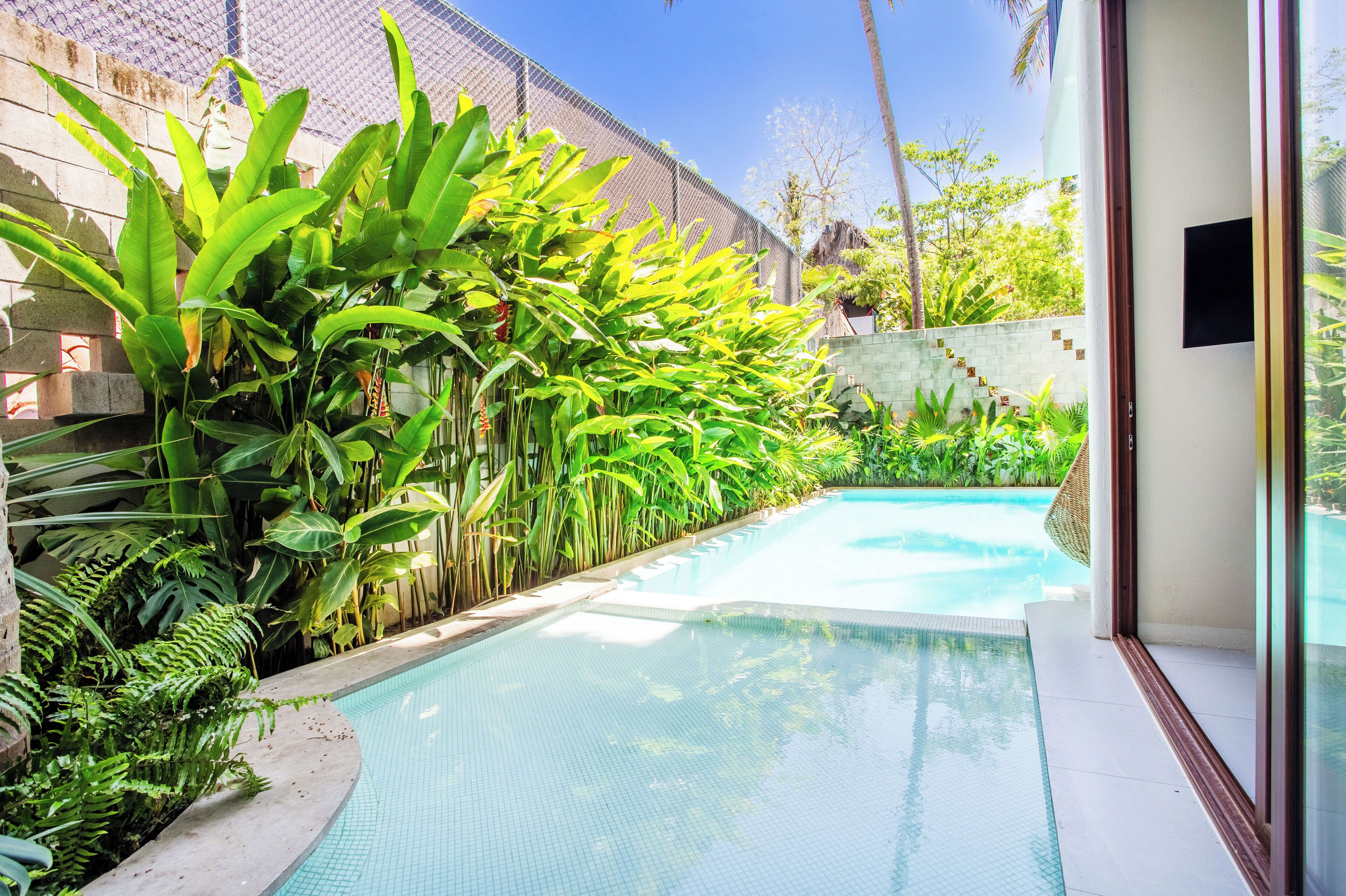 A swimming pool surrounded by lush tropical plants and a stone wall.