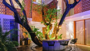 Ein Innenhof mit einem zentralen Baum, einer Sitzgelegenheit und einer Treppe.