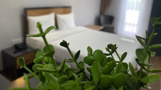 A hotel room with a neatly made bed, a bedside table, and a potted plant in the foreground. - Airport İnalens Konaklama (Arnavutköy)